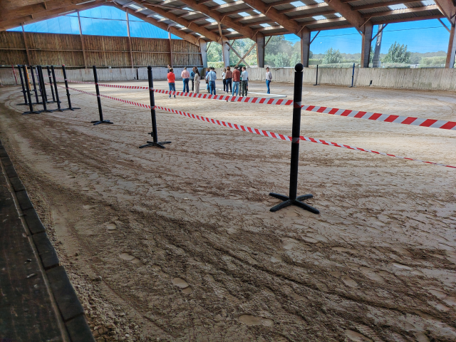 Formation équestre au Haras